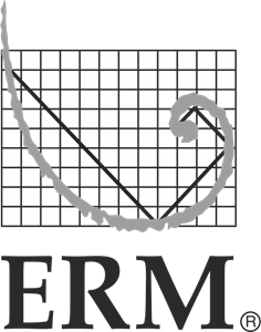 ERM Logo PNG Vector