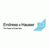 Endress+Hauser Logo PNG Vector