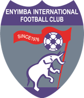 Enyimba International Football Club Logo PNG Vector