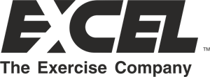 Excel Logo Vector