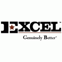 Excel Genuinely Better Logo Vector