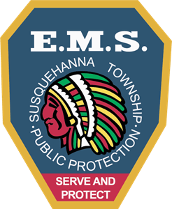 E.M.S Logo PNG Vector