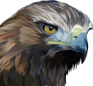 eagle Logo PNG Vector