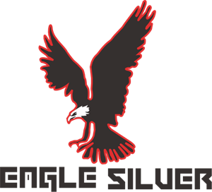 Eagle Silver Logo PNG Vector