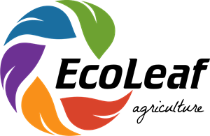 ECO LEAF Logo Vector