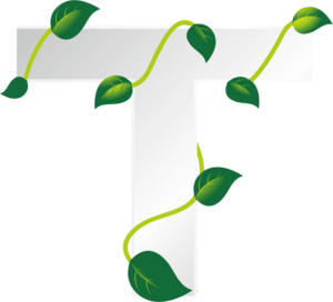 Eco Letter T Logo PNG Vector
