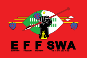 EFF Swaziland flag Logo PNG Vector