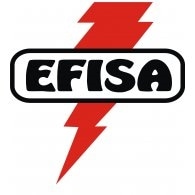 Efisa Logo PNG Vector