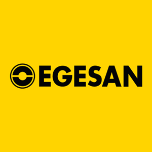 Egesan Logo PNG Vector