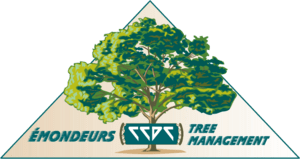 Emondeurs Tree Management Logo PNG Vector