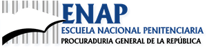 ENAP Logo PNG Vector