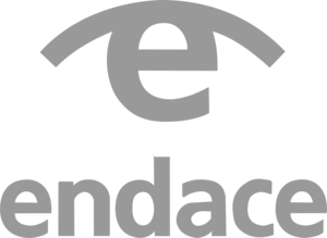 Endace Logo PNG Vector