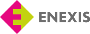 Enexis Logo PNG Vector