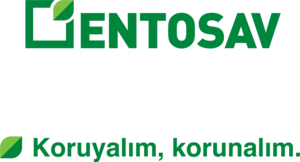 Entosav Logo PNG Vector