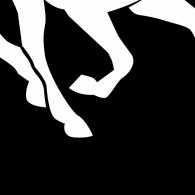 Equestrio Logo PNG Vector