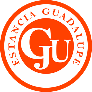 Estacia Guadalupe Minas Córdoba Logo Vector