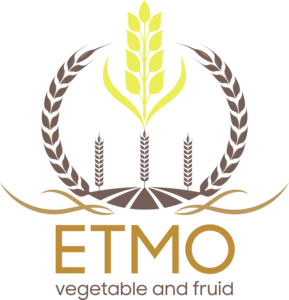 ETMO Logo PNG Vector