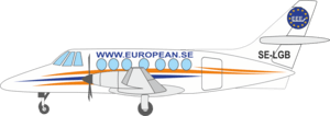 European Executive Express Logo PNG Vector