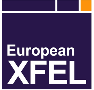 European XFEL Logo PNG Vector