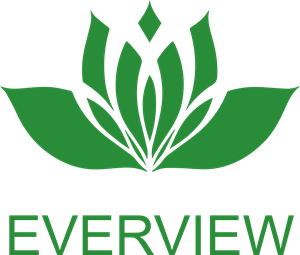 everview Logo Vector