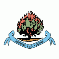 FC Institute Londonderry Logo Vector