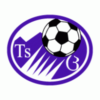 FC Tskhinvali Logo PNG Vector