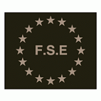 FSE Logo PNG Vector