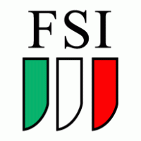 FSI Logo PNG Vector