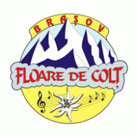 Floare de Colt Brasov Logo PNG Vector