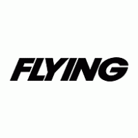 Flying Logo PNG Vector
