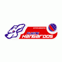 Flying Kangaroos Volleyball Logo Vector