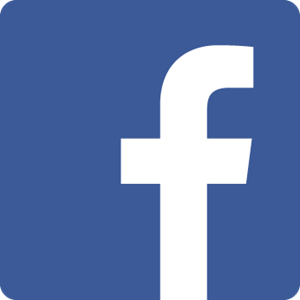 Facebook Flat Logo Vector