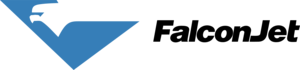 Falcon Jet Logo PNG Vector