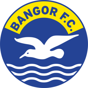 FC Bangor Logo PNG Vector