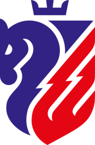 FC Botosani Logo PNG Vector