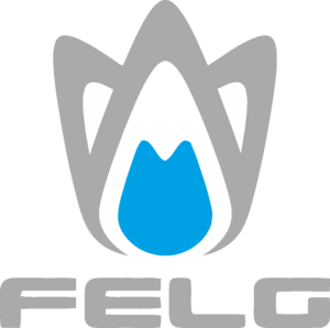 Felg Software Logo PNG Vector