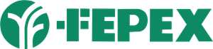 Fepex Logo PNG Vector