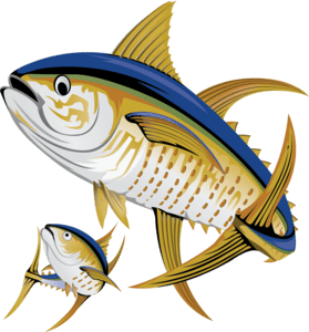 fish Logo PNG Vector