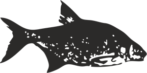 FISH Logo PNG Vector