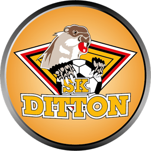 FK Ditton Daugavpils (mid 00's) Logo Vector