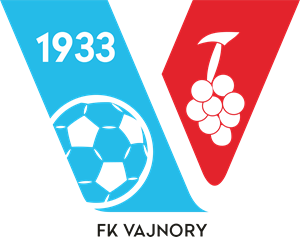 FK Vajnory Logo PNG Vector