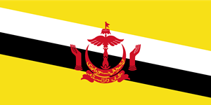 Flag of Brunei Logo Vector