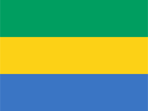 Flag of Gabon Logo PNG Vector