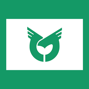 Flag of Iheya, Okinawa Logo PNG Vector