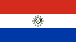 Flag of Paraguay Logo Vector