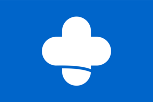 Flag of Sagara, Kumamoto Logo PNG Vector