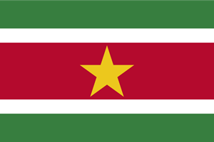 Flag of Suriname Logo Vector