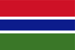 Flag of The Gambia Logo Vector