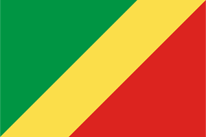Flag of the Republic of the Congo Logo Vector