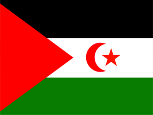 Flag of Western Sahara Logo PNG Vector